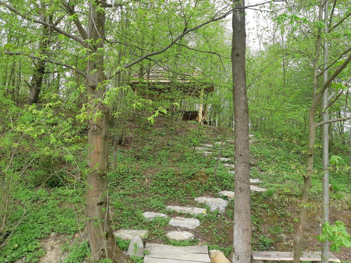 Domek na wzgórzu WILK Swiatkowa Mala Exterior foto